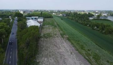 Działka rolno-budowlana Skierniewice, ul. Rawska