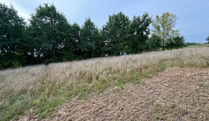 Działka budowlana Halinów, ul. Północna