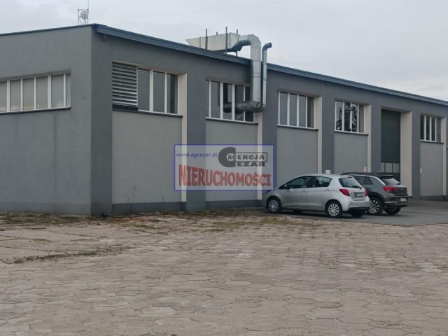 Lokal Mińsk Mazowiecki. Zdjęcie 7