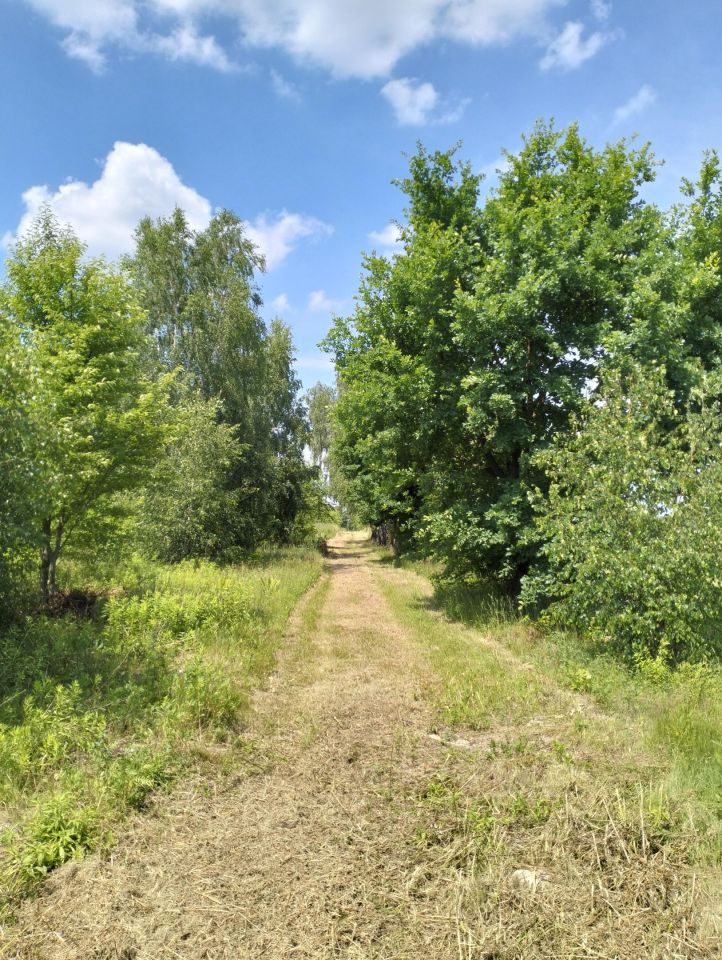 Działka budowlana Józefów, Józefów. Zdjęcie 9