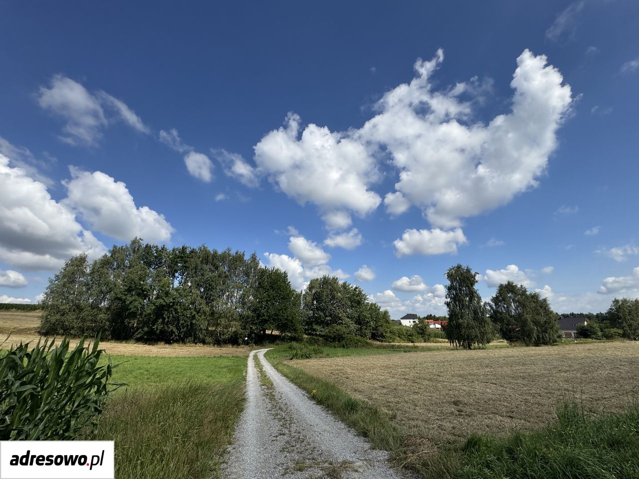 Działka budowlana Malec, ul. Jasna. Zdjęcie 6