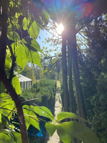 Działka rod Łódź Teofilów, Selerowa 25. Zdjęcie 29