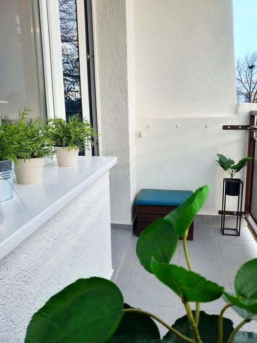 Mieszkanie 3-pokojowe Toruń Bydgoskie Przedmieście, ul. Józefa Ignacego Kraszewskiego. Zdjęcie 10