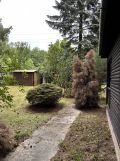 Działka rod Piotrkowice, ul. Tarczyńska. Zdjęcie 4