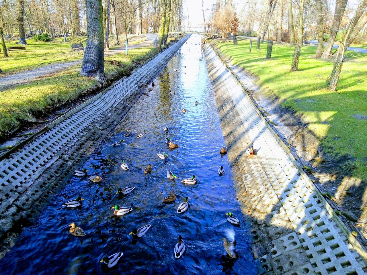 Mieszkanie 4-pokojowe Żyrardów Centrum, ul. Karola Hiellego. Zdjęcie 15