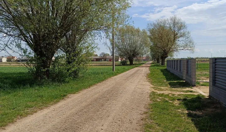 Działka budowlana Wola Magnuszewska