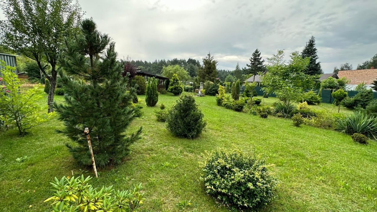 Działka budowlana Świerczyna. Zdjęcie 19