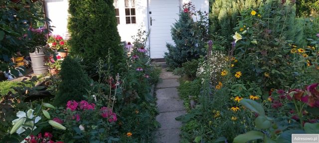 Działka rekreacyjna Kraków, os. Złotego Wieku. Zdjęcie 1