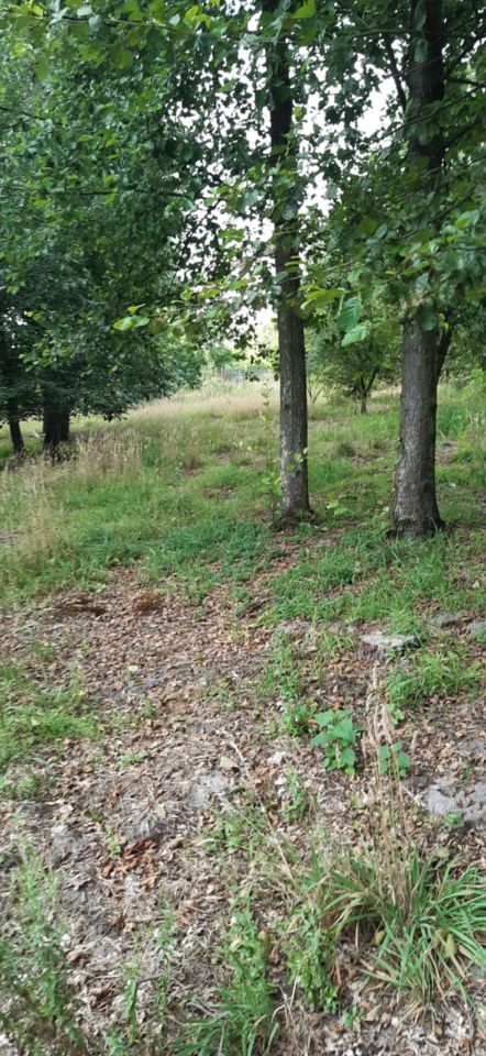 Działka rolna Panaszew. Zdjęcie 7