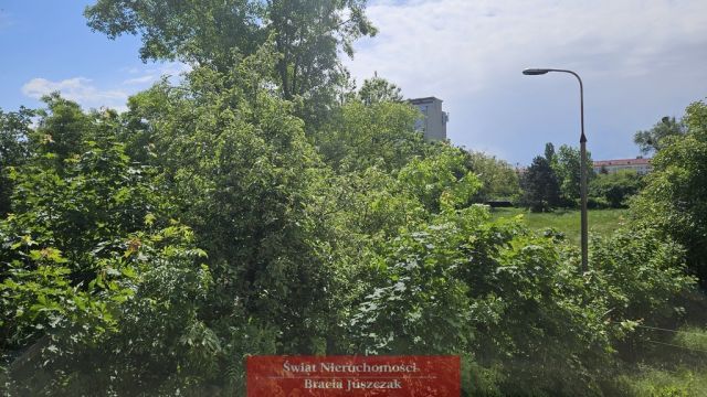 Mieszkanie 4-pokojowe Wrocław Borek. Zdjęcie 4