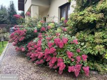 dom wolnostojący, 6 pokoi Kraków Bieżanów, ul. Żabia. Zdjęcie 2