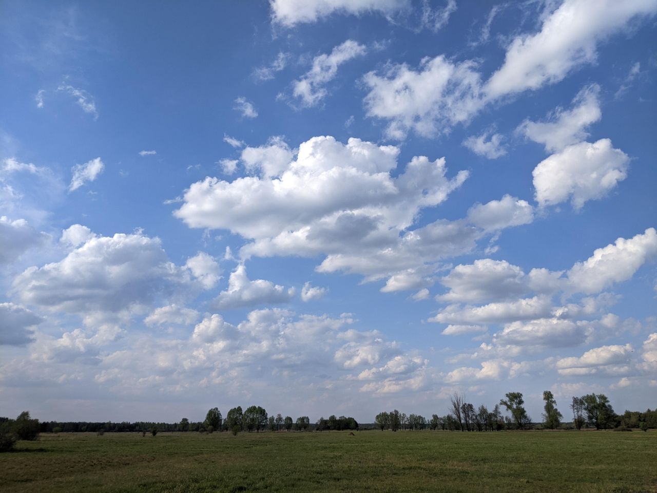 Działka rolna Sobieńki Brody, Brody. Zdjęcie 4