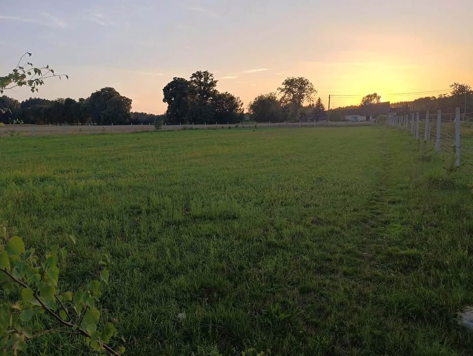 Działka rolno-budowlana Upadły. Zdjęcie 4