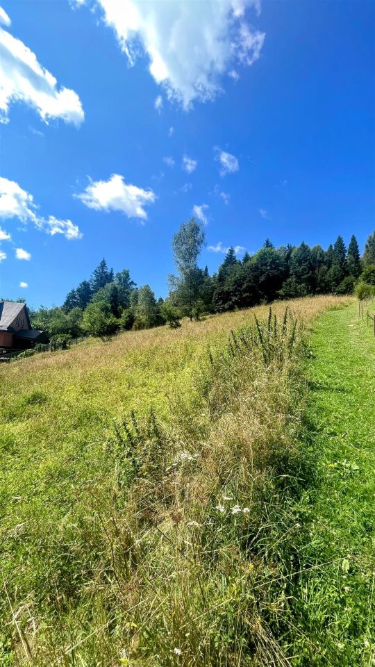 Działka inwestycyjna Krynica-Zdrój. Zdjęcie 4