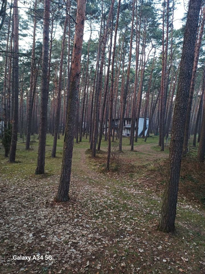 dom wolnostojący Biała. Zdjęcie 5