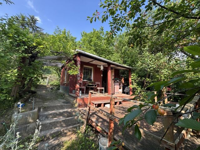 Działka rod Płock Winiary. Zdjęcie 1