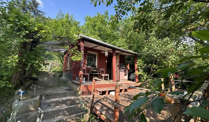 Działka rod Płock Winiary