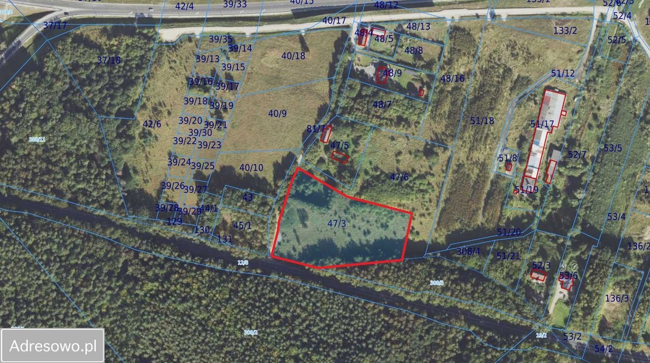 Działka siedliskowa Gorzebądz. Zdjęcie 3