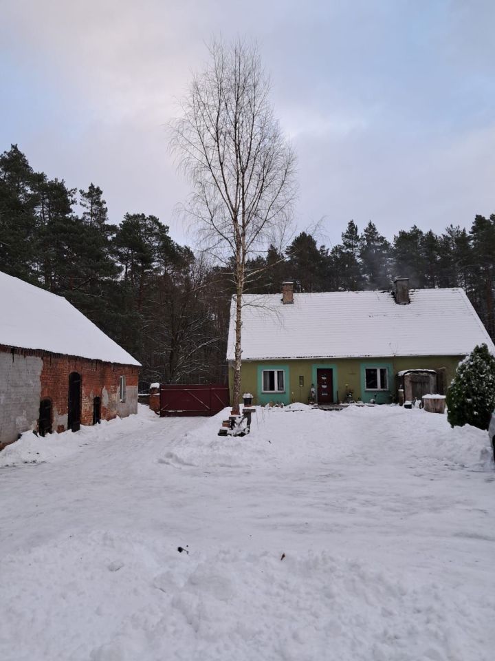 dom wolnostojący, 4 pokoje Paruszka. Zdjęcie 5