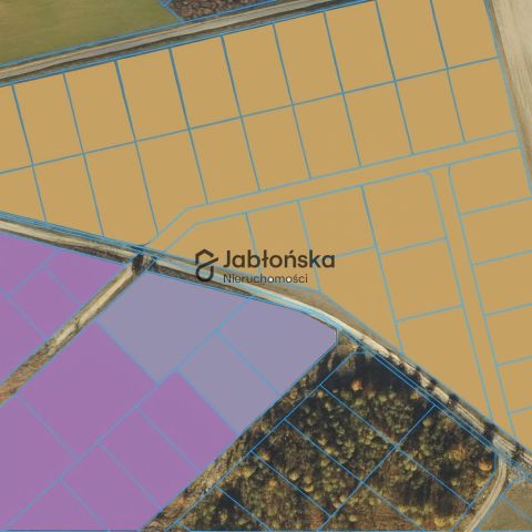 Działka inwestycyjna Stronno. Zdjęcie 1