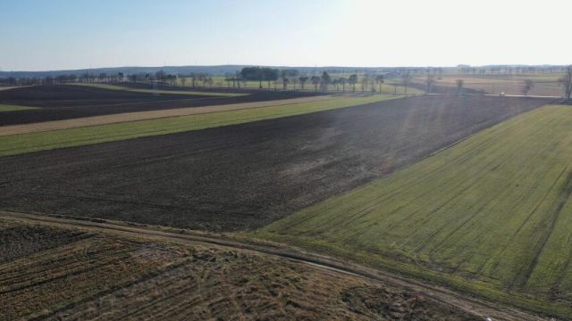 Działka budowlana Zosin, ul. Chabrowa. Zdjęcie 2