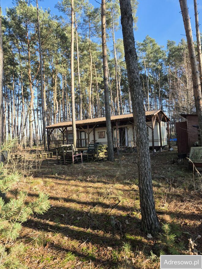 Działka leśna Ligota. Zdjęcie 1
