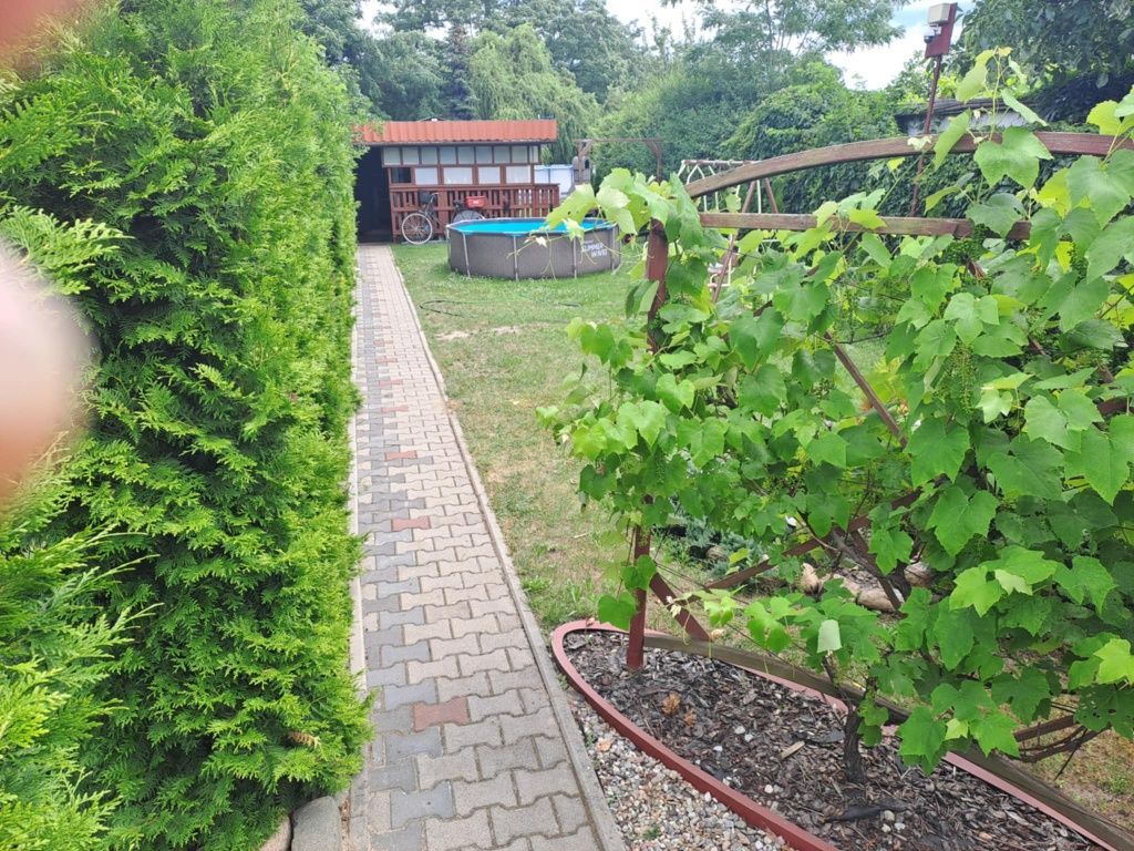 Działka rekreacyjna Leszno