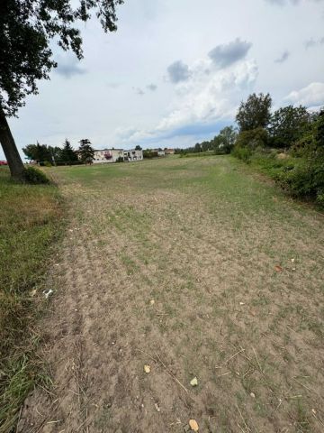 Działka rolna Złotniki Kujawskie. Zdjęcie 1