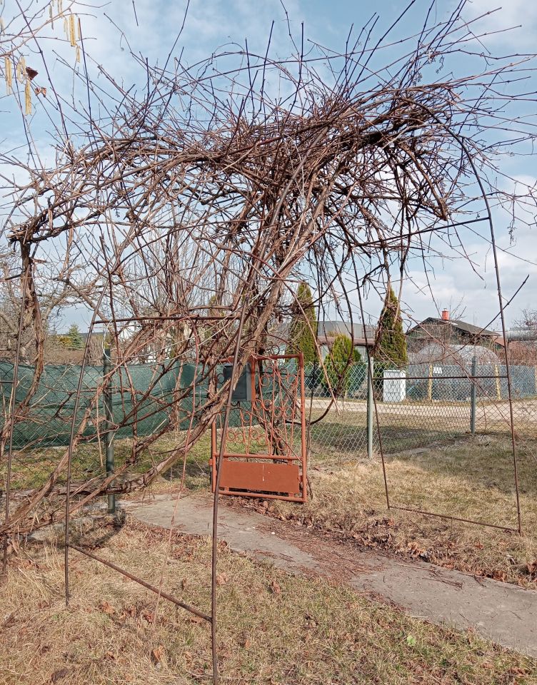 Działka rod Mszczonów, ul. Działkowa. Zdjęcie 21