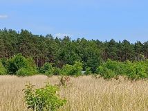 Działka budowlana Brzózki, ul. Makowa. Zdjęcie 4