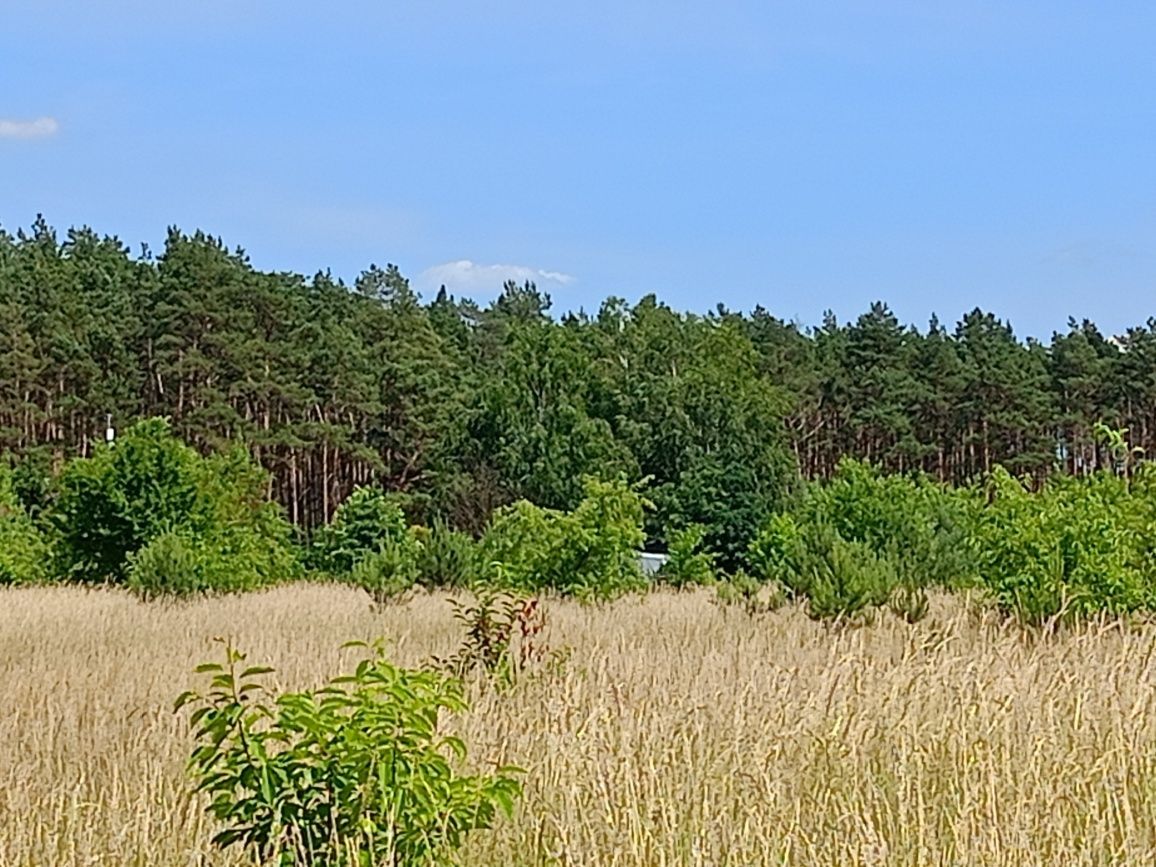 Działka budowlana Brzózki, ul. Makowa. Zdjęcie 5