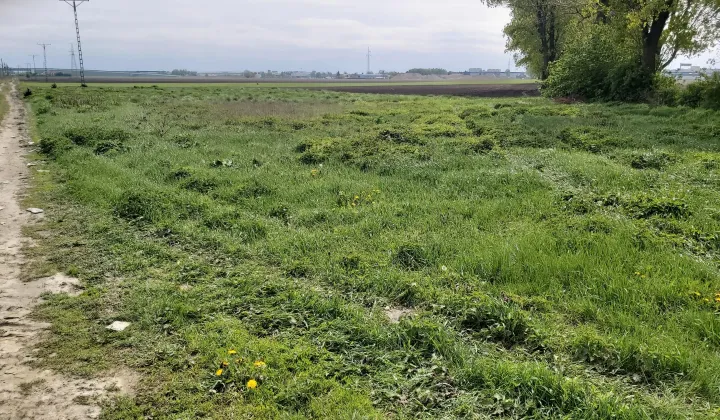 Działka inwestycyjna Ożarów Mazowiecki