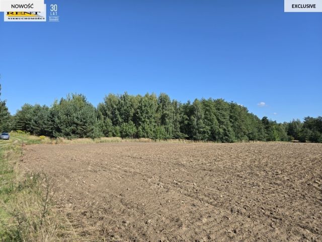 Działka rekreacyjna Chłopowo. Zdjęcie 1