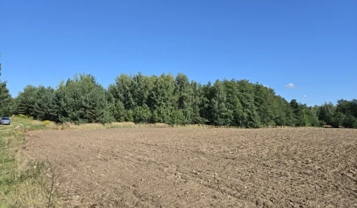 Działka rekreacyjna Chłopowo