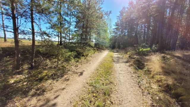 Działka siedliskowa Rupin. Zdjęcie 25