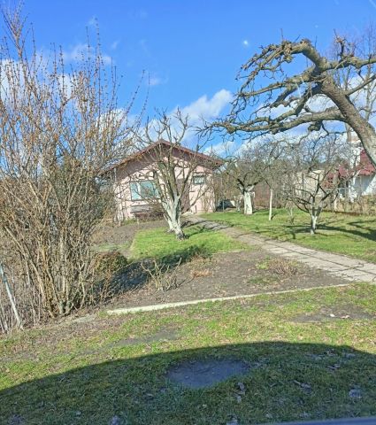 Działka rod Piaski Marysin. Zdjęcie 1