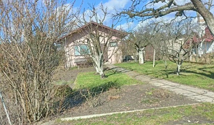 Działka rod Piaski Marysin