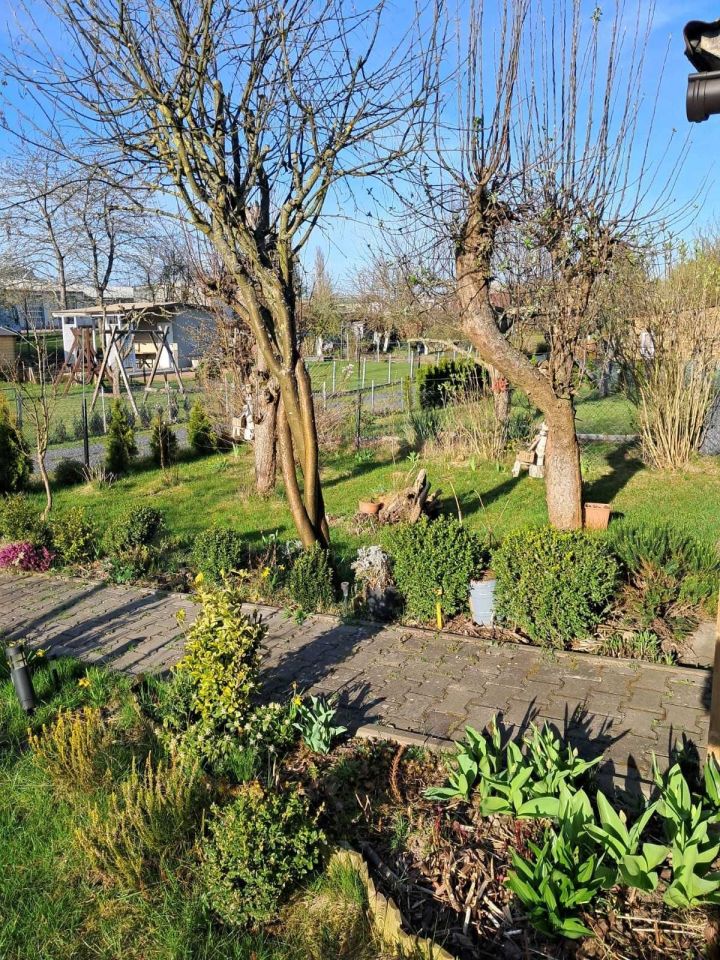 Działka rod Gorzów Wielkopolski. Zdjęcie 6