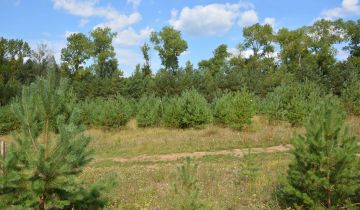 Działka budowlana Goręczyno, ul. Maślakowa