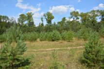 Działka budowlana Goręczyno, ul. Maślakowa. Zdjęcie 1