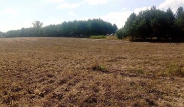 Działka rolna Chojno Nowe Pierwsze