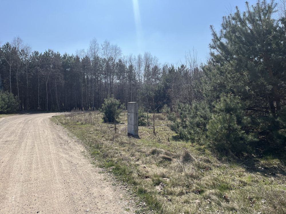 Działka budowlana Kotwasice. Zdjęcie 5