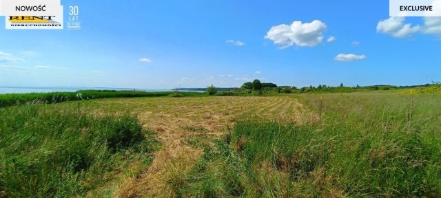 Działka rekreacyjna Płocin. Zdjęcie 4