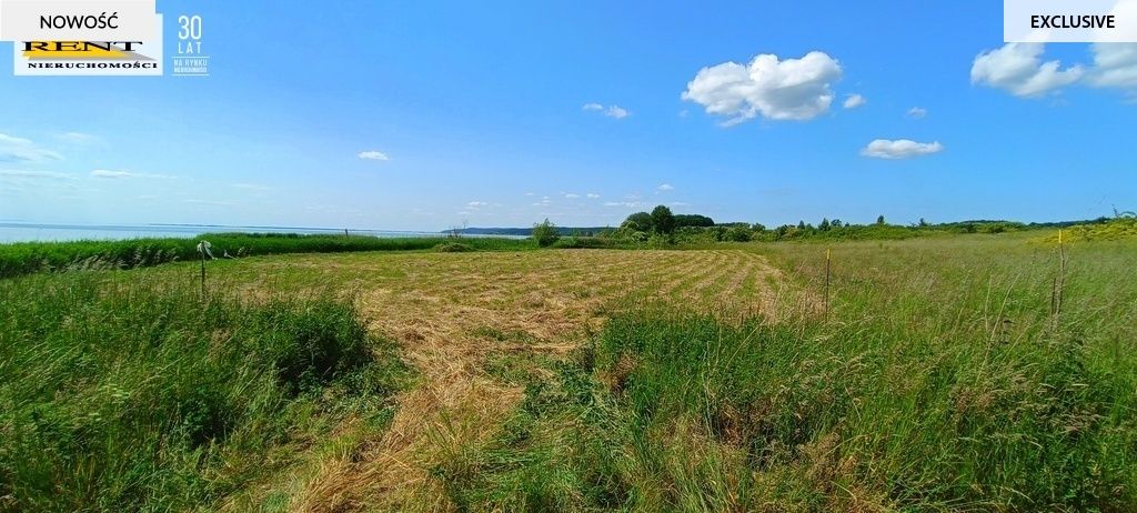 Działka rekreacyjna Płocin. Zdjęcie 4