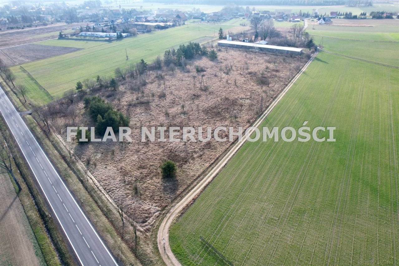 Działka inwestycyjna Gogołowice. Zdjęcie 3