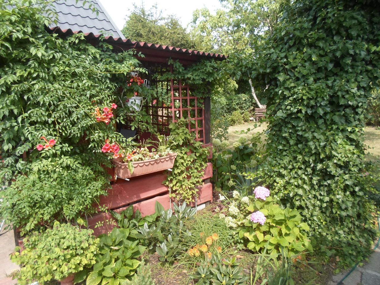 Działka rod Toruń Mokre, ul. Bolesława Chrobrego. Zdjęcie 7