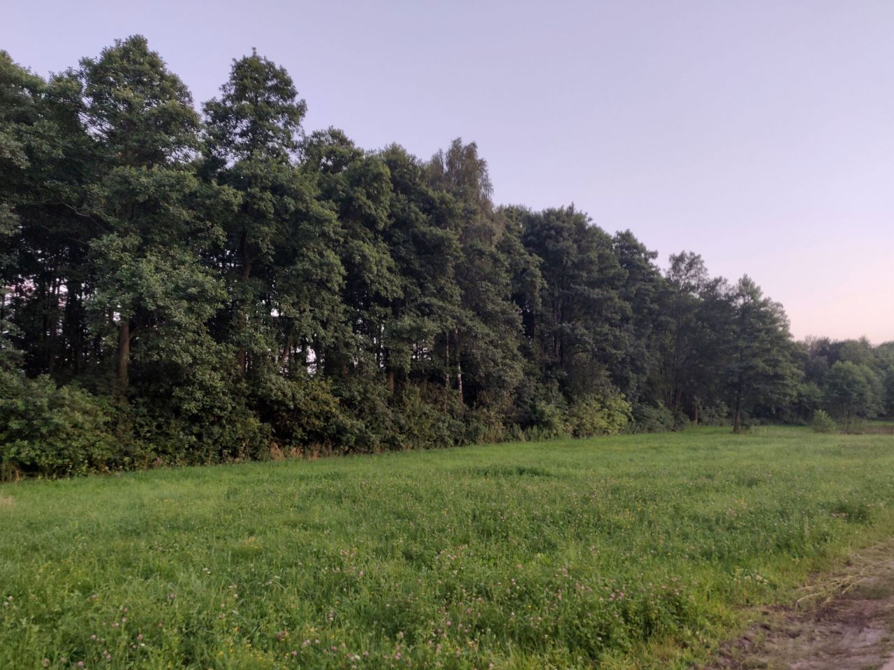 Działka budowlana Głogowo, ul. Bukowa. Zdjęcie 7