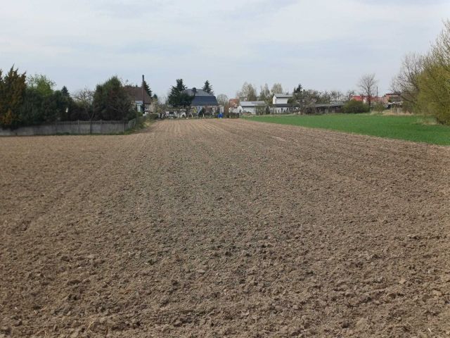Działka rolno-budowlana Przygodzice, ul. Bursztynowa. Zdjęcie 1