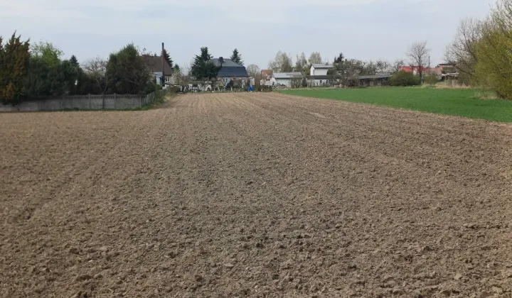 Działka rolno-budowlana Przygodzice, ul. Bursztynowa