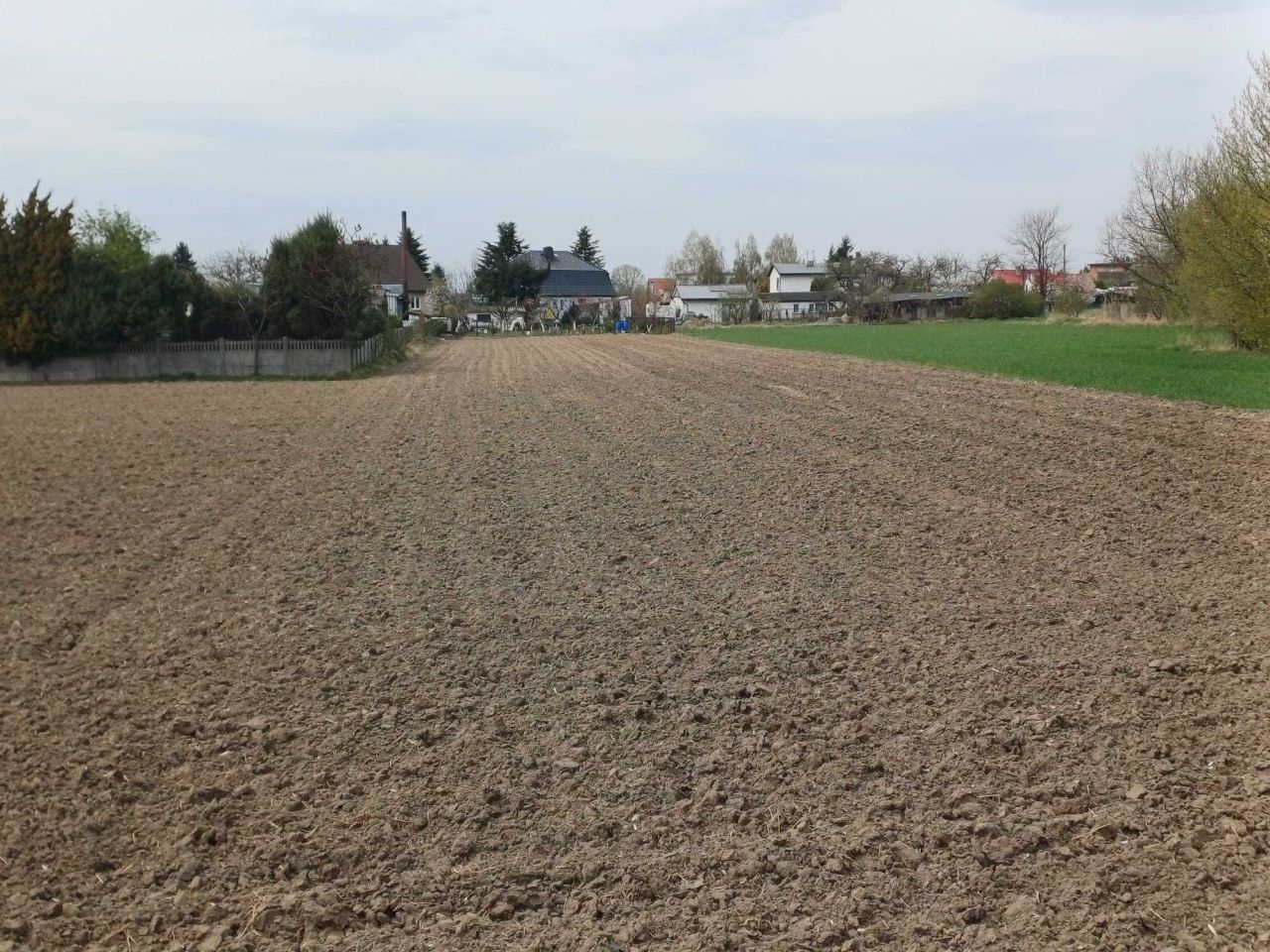 Działka rolno-budowlana Przygodzice, ul. Bursztynowa. Zdjęcie 1
